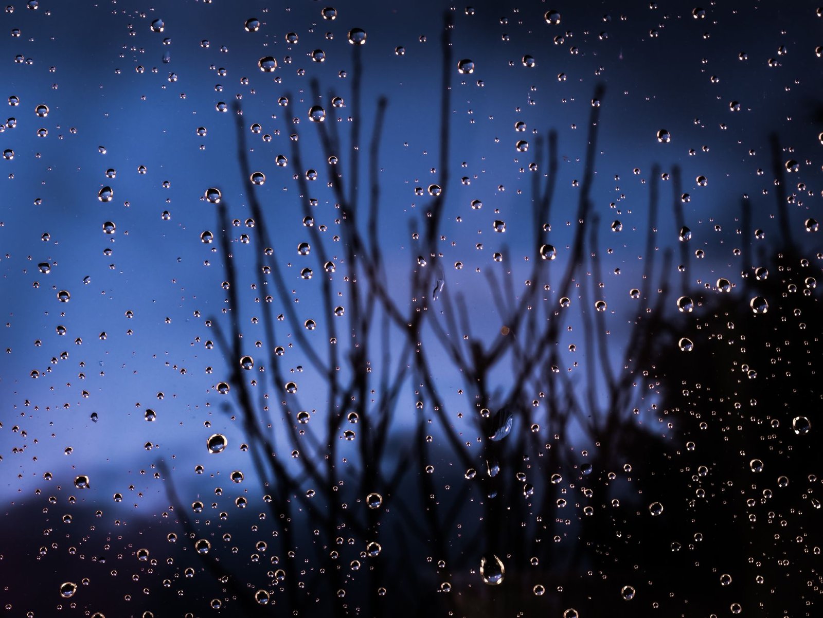 Sonhar com Chuva: O Que Significa? 11 Interpretações Reveladoras