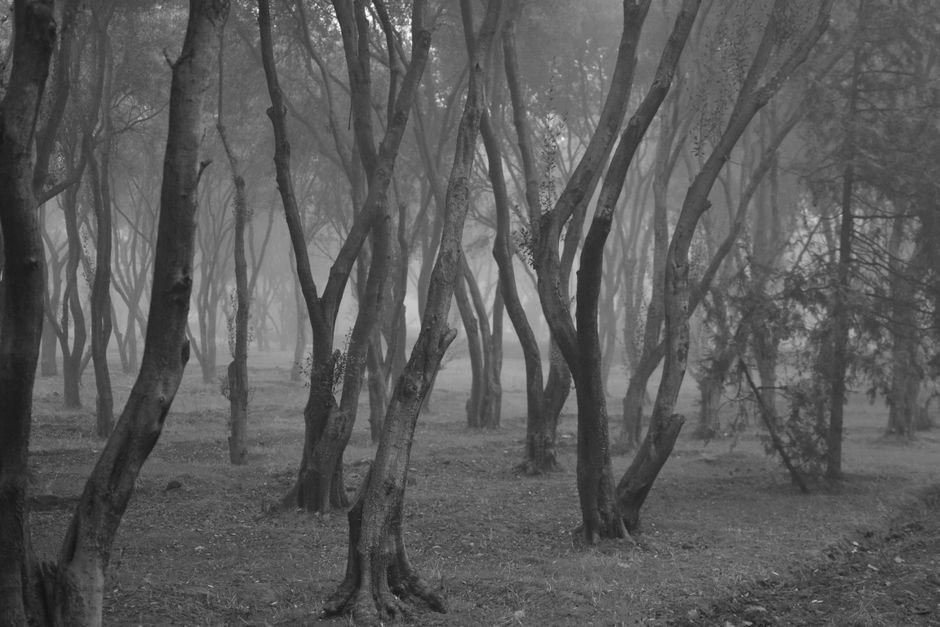 O que significa sonhar com fantasma?