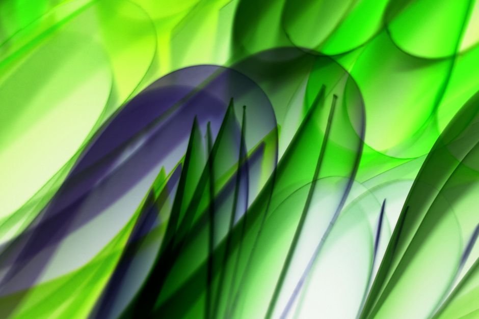 O que significa sonhar com a cor verde?