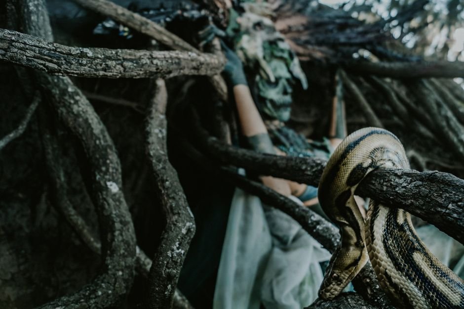 Sonhar com cobra amarela enrolada em você