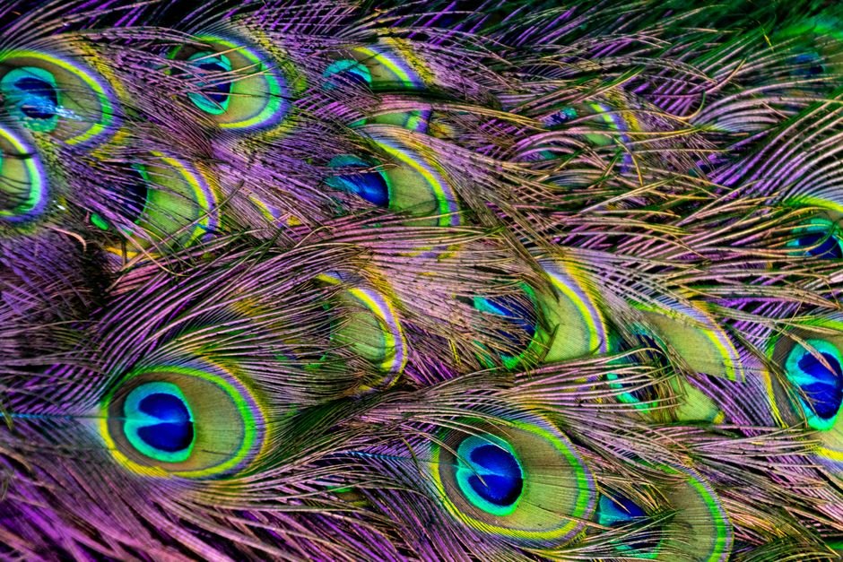 O que dizem a psicologia e a ciência do sono