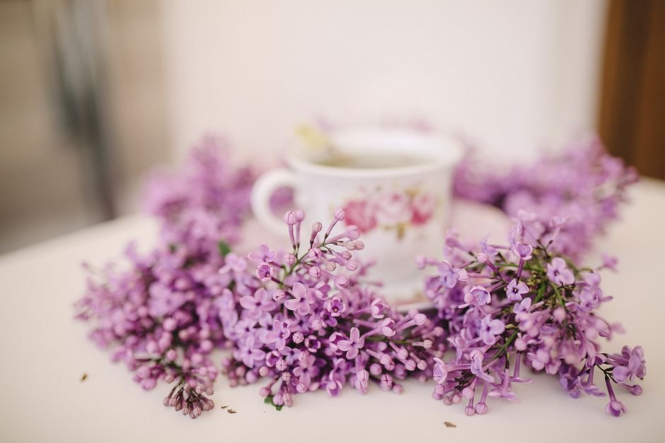 Sonhar com roxo claro (lilás)