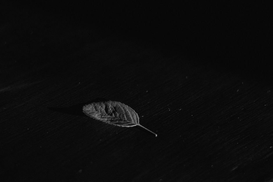 Sonhar em preto e branco com um detalhe colorido