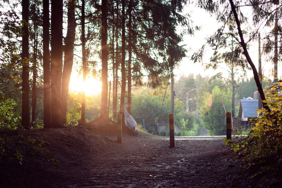 Sonhar que atravessa a floresta e encontra uma saída