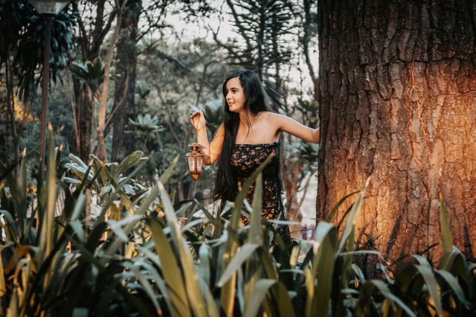 Sonhar que se perde na floresta