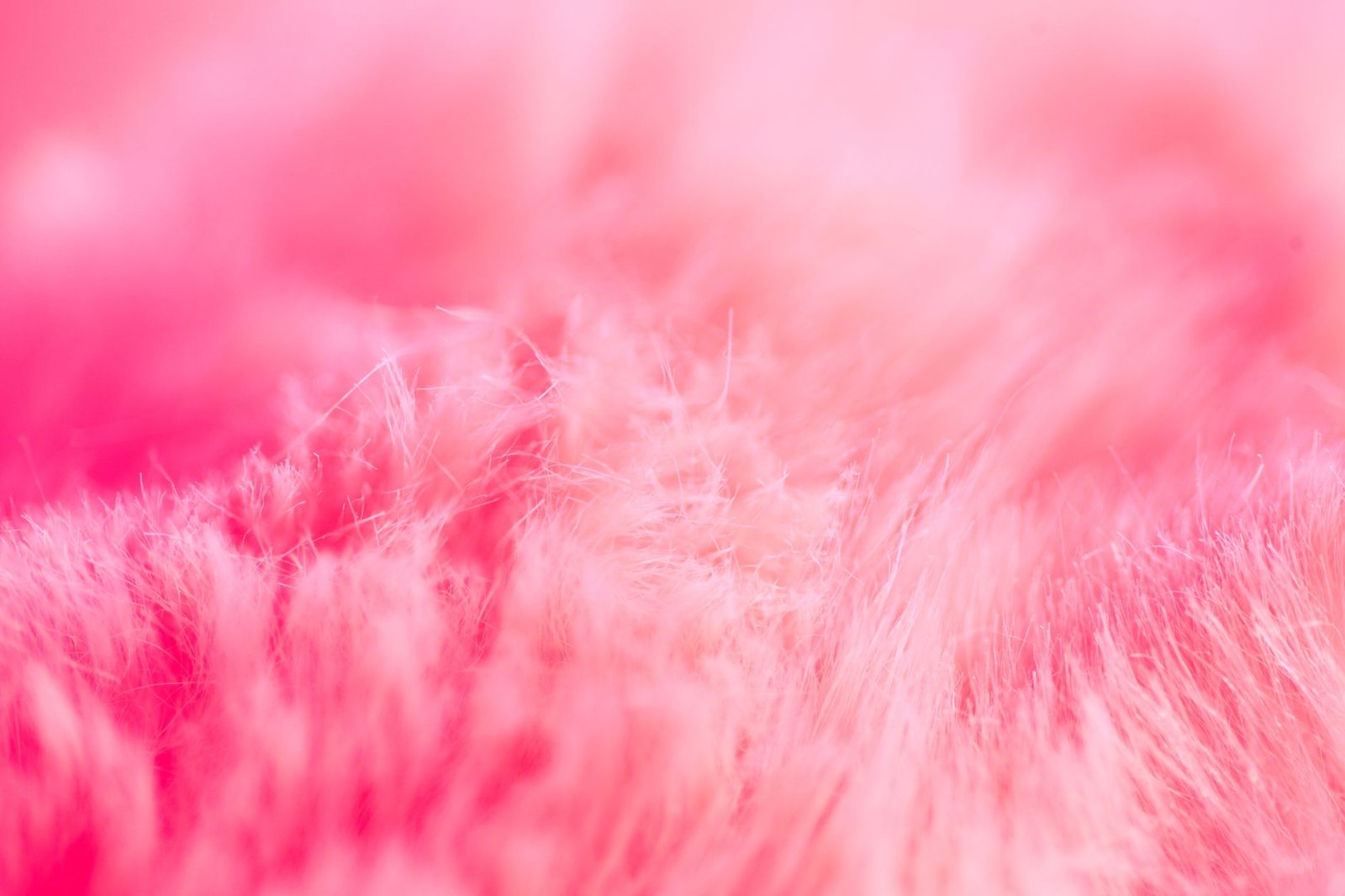 Sonhar com a cor rosa: o que essa doçura pode estar te dizendo?