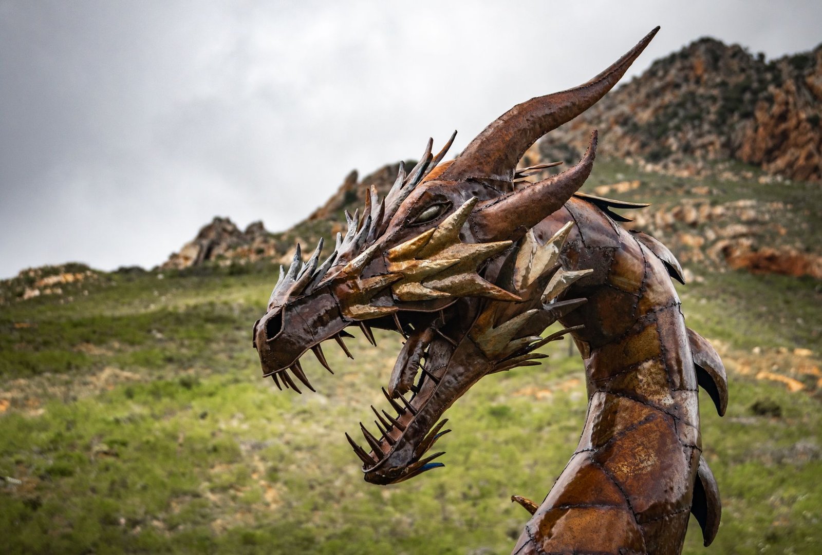 Sonhar com dragão: o que esse sonho poderoso pode significar?