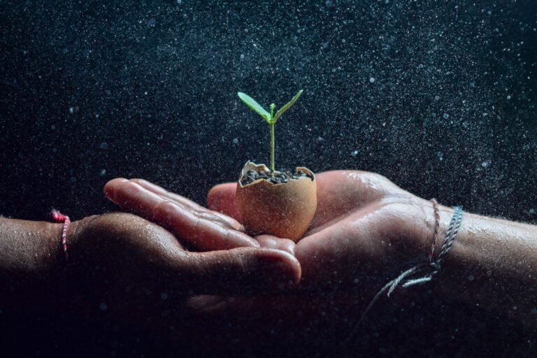 Sonhar com semente germinando: o recomeço que seu sonho está anunciando