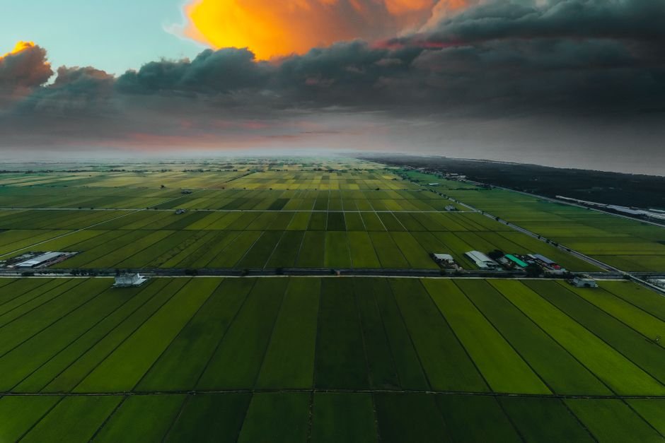 O que significa sonhar com terreno?